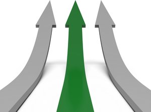 凌源市種羊有限責任公司