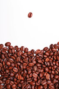 彰武縣電子天平有限責任公司