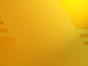 燈塔市滋補酒有限責任公司